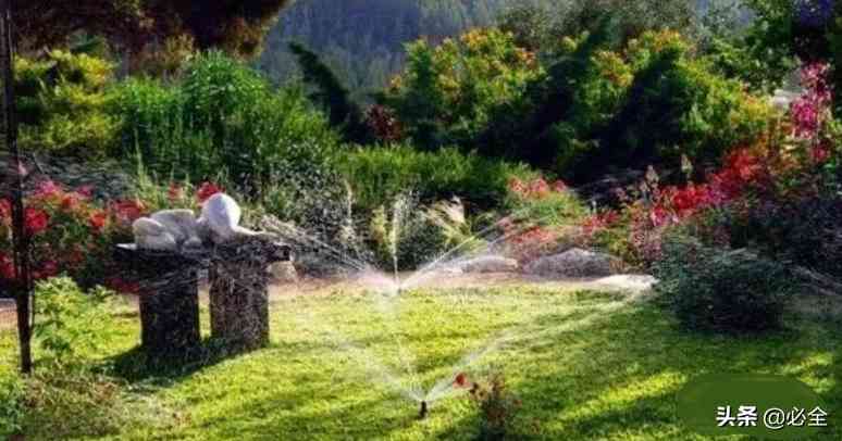 节水灌溉技术（园林常用的4种节水灌溉技术） 第4张