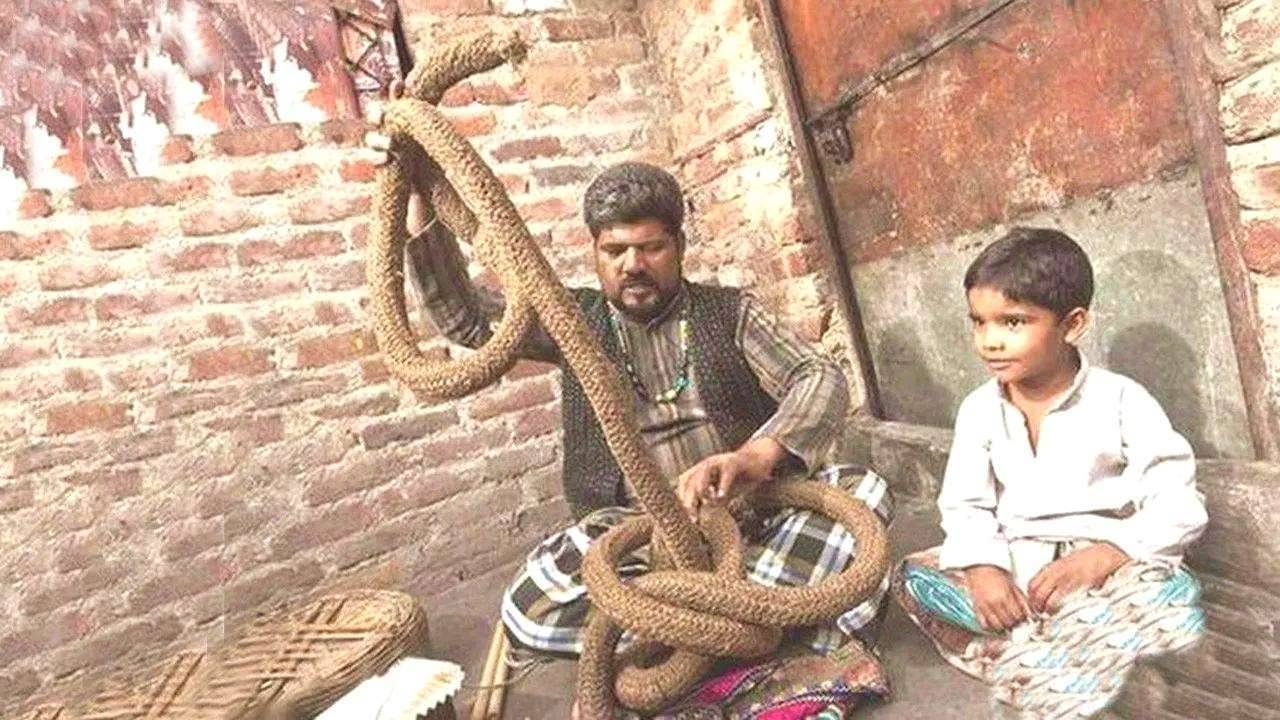 绳子魔术（印度通天绳是魔术还是法术？） 第1张