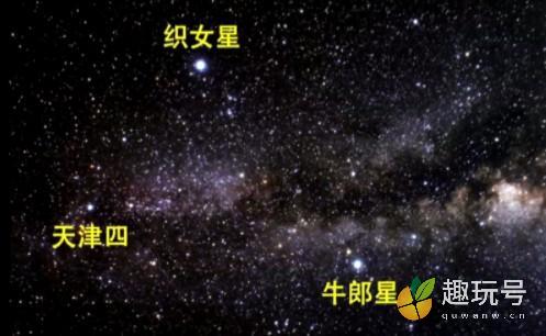 牛郎星属于什么星座（带你了解牛郎星所在的星座是什么） 第2张
