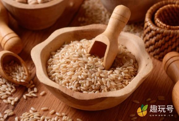 糙米是什么米怎么煮熟（糙米的功效与作用吃法） 第3张