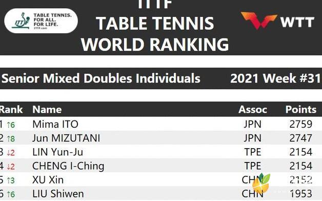 乒乓球世界排名2021最新（小日子过的不错的日本人成混双世界第一） 第2张