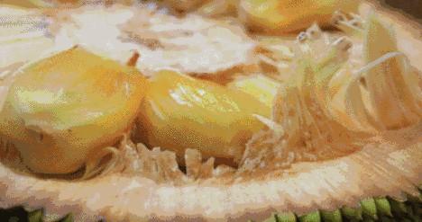 菠萝蜜怎么剥（菠萝蜜的正确剥法像削苹果一样简单） 第1张