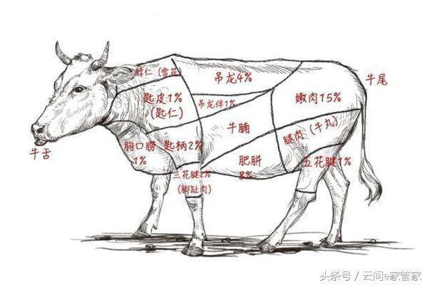 吊龙是牛的哪个部位（吊龙牛肉的做法） 第1张
