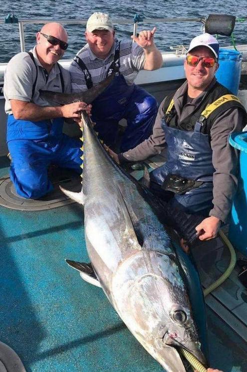 山东渔民捕获2万斤重鲨鱼 第3张