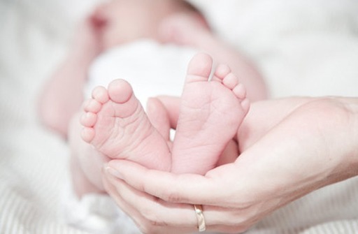 2022年二月出生的宝宝起名,虎年孩子取名宜用字 第1张