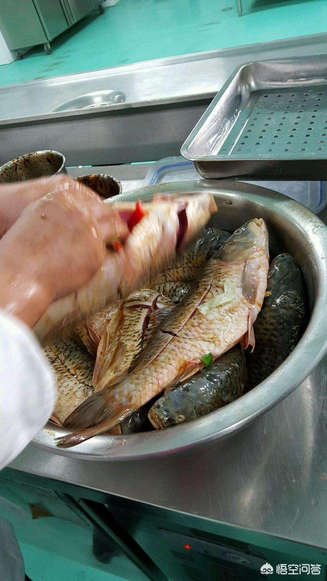 怎样做清蒸鲤鱼最好吃 清蒸鲤鱼的家常做法窍门 第10张