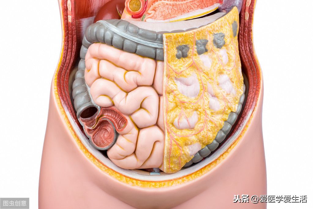 胃肠道间质肿瘤（胃肠道间质瘤的病源、确诊） 第4张