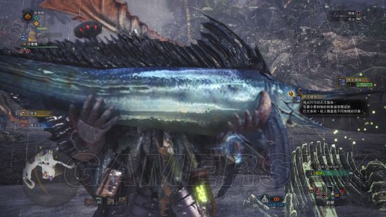 怪物猎人世界鱼王任务怎么接（鱼点坐标汇总介绍） 第9张