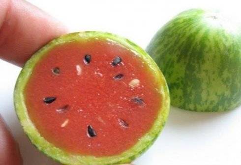 世界最小西瓜（世界最小西瓜真是西瓜吗？） 第5张