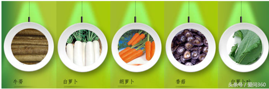 立石和五行蔬菜汤（风靡日本的五行蔬菜汤都有哪些功效？） 第2张