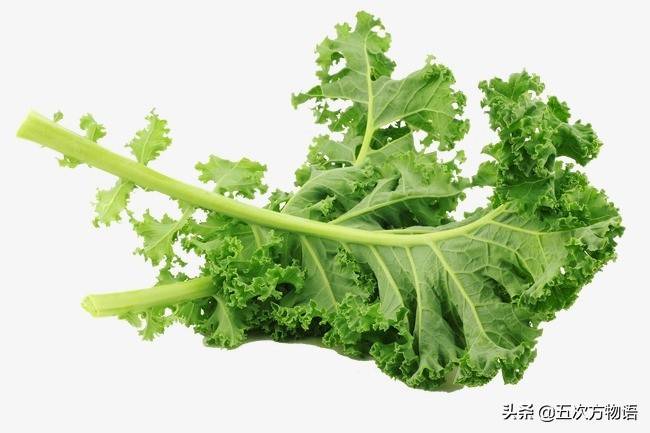 十字花科蔬菜（甲状腺结节不能吃十字花科蔬菜吗） 第16张