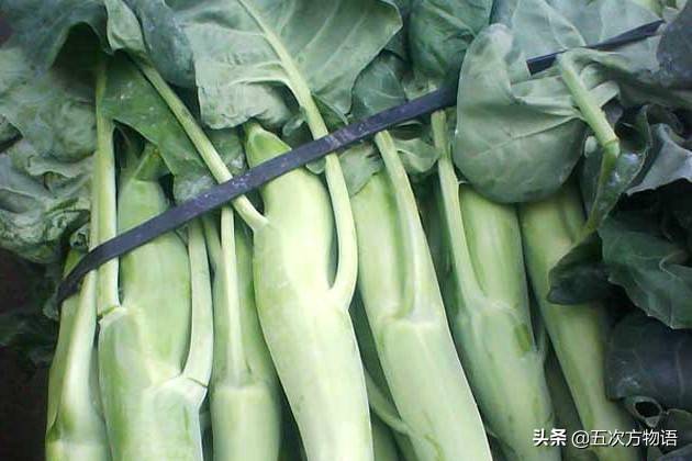 十字花科蔬菜（甲状腺结节不能吃十字花科蔬菜吗） 第25张