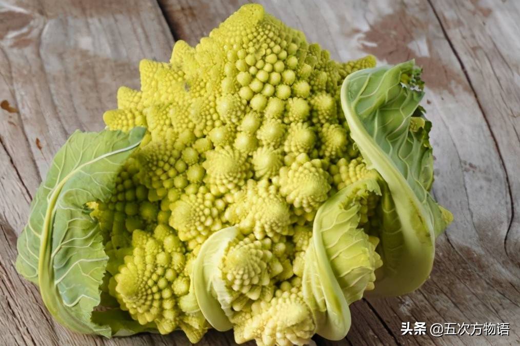 十字花科蔬菜（甲状腺结节不能吃十字花科蔬菜吗） 第34张