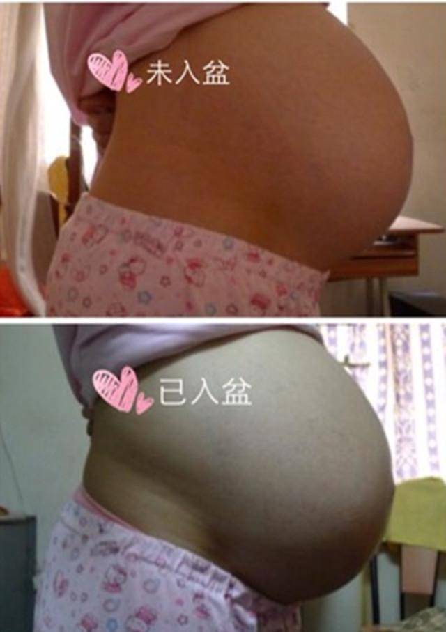 胎儿多久入盆(8个月入盆是不是早了) 第6张
