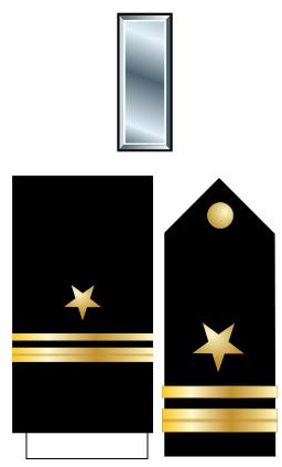 美国的军衔等级及标志是什么（美国警衔等级与职位图详细介绍） 第12张