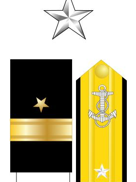美国的军衔等级及标志是什么（美国警衔等级与职位图详细介绍） 第7张