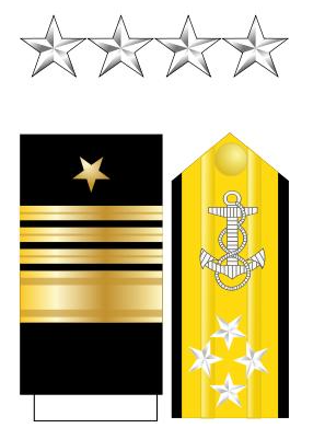 美国的军衔等级及标志是什么（美国警衔等级与职位图详细介绍） 第4张