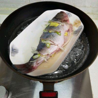 清蒸鲈鱼的做法（清蒸鱼的正确做法和步骤） 第4张