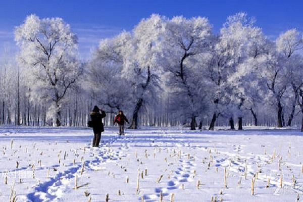国内看雪景点排名（中国看雪的十大城市） 第3张