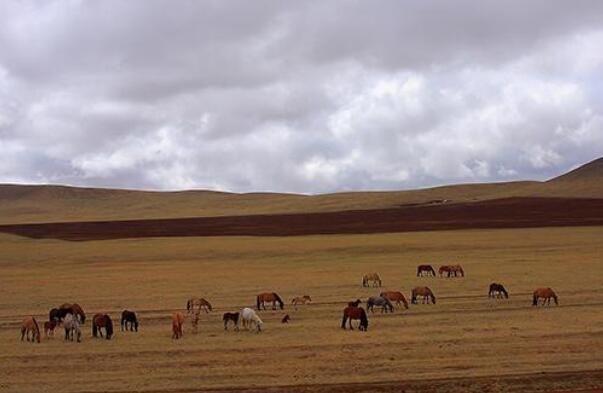 蒙古国最有名的景点（蒙古国十大城市排名） 第2张