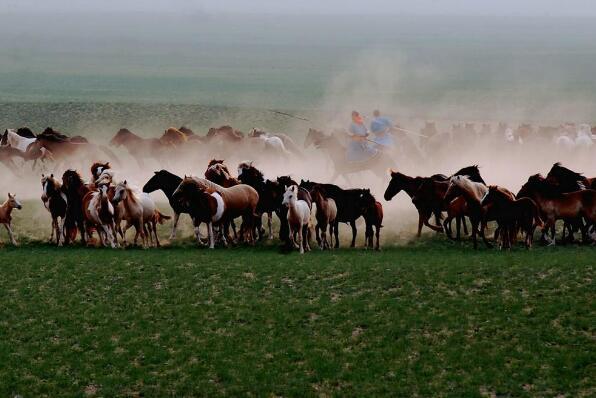 蒙古国最有名的景点（蒙古国十大城市排名） 第6张