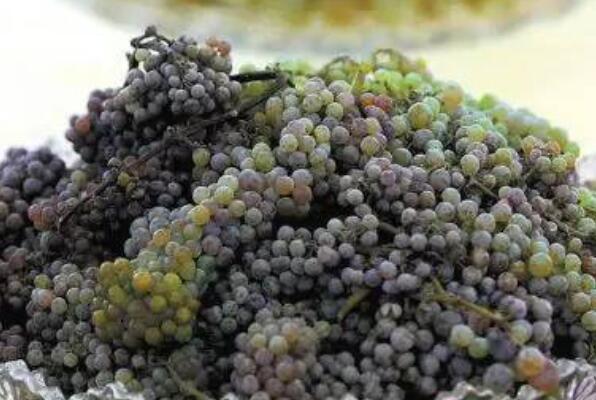 新疆最好的葡萄品种是什么品种（中国最好吃的葡萄品种排名） 第9张