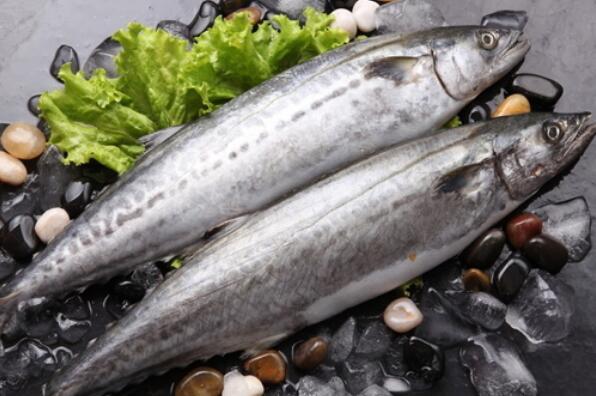 中国最好吃的海鱼排行榜 中国最好吃的鱼排名 第4张