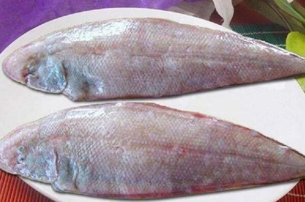 中国最好吃的海鱼排行榜 中国最好吃的鱼排名 第10张