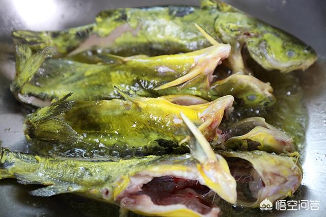 黄骨鱼有什么简单极好吃的做法 红烧黄骨鱼的家常做法分享 第2张