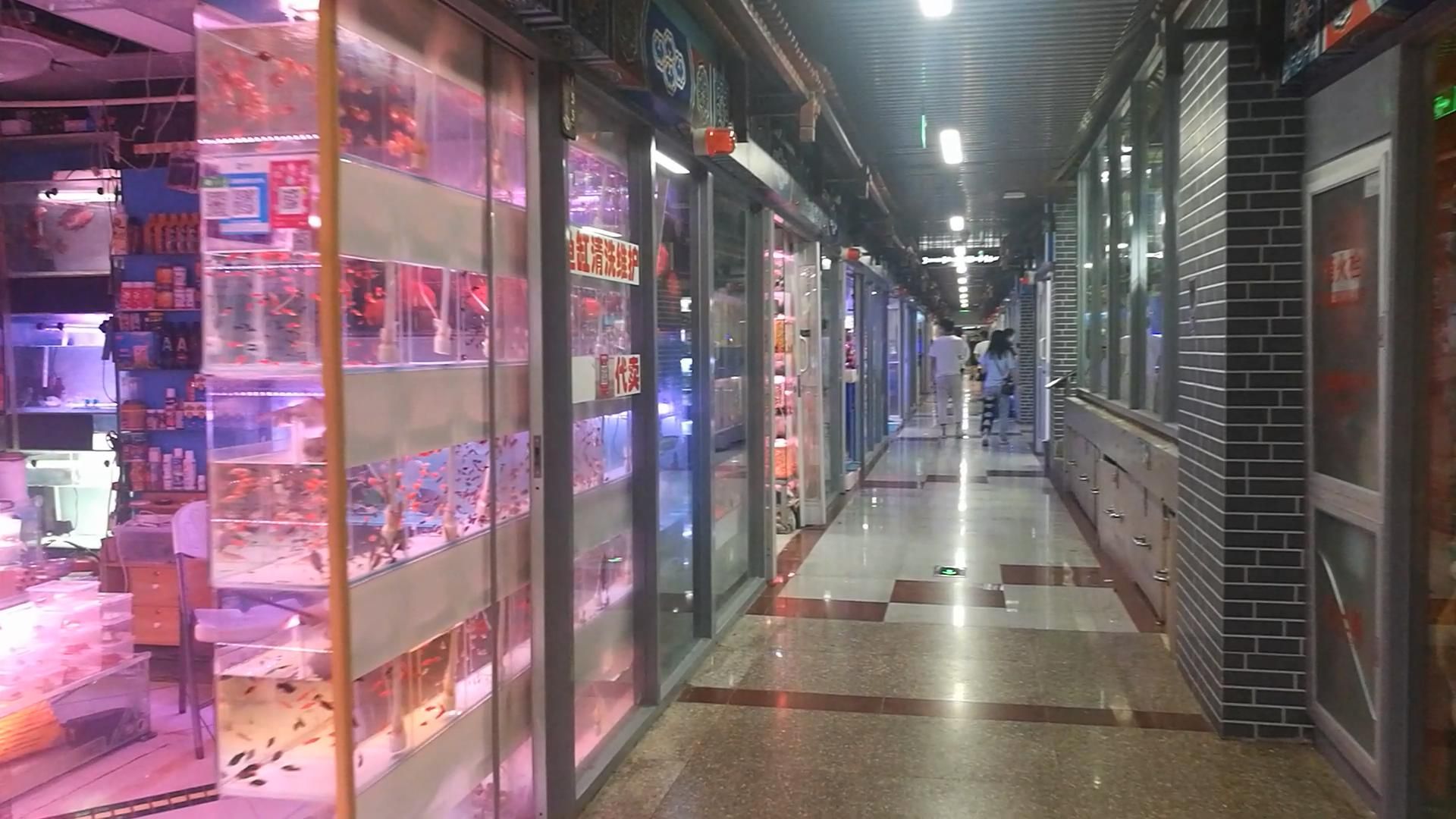 官园花鸟金鱼虫商场（北京最驰名的宠物商场） 第2张