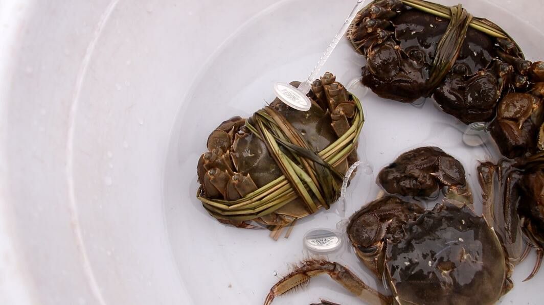 蒸螃蟹是冷身下锅仍旧开水下锅（如何蒸螃蟹） 第5张