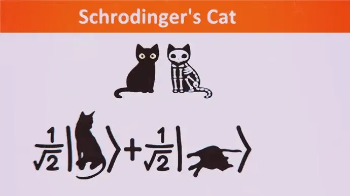 薛定谔的猫什么道理（什么是薛定谔的猫？） 第1张