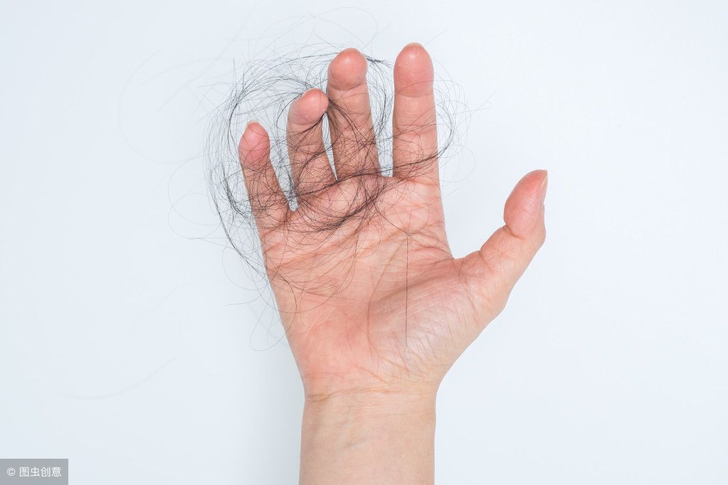 每天掉几何头发算平常（人平常每天掉几根头发？） 第1张