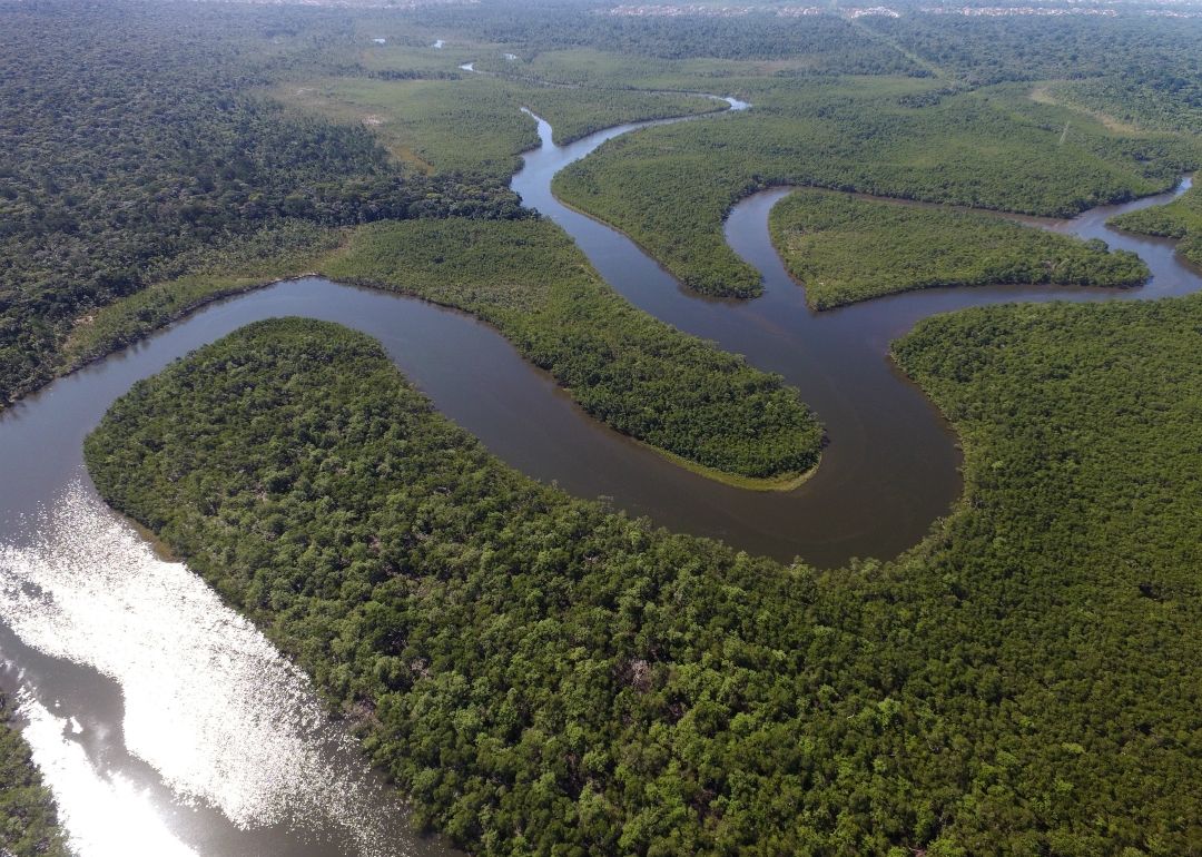热带雨林的效率（亚马逊热带雨林在汗青上的要害效率有哪些？） 第1张