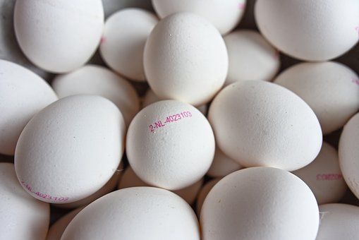 鸽子蛋的养分价格及工效是（鸽子蛋有什么养分价格吗？） 第1张